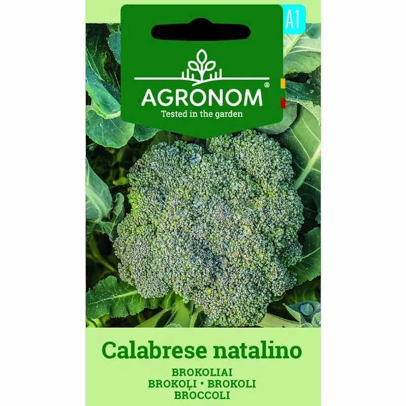 Broccoli 'Calabrese natalino'