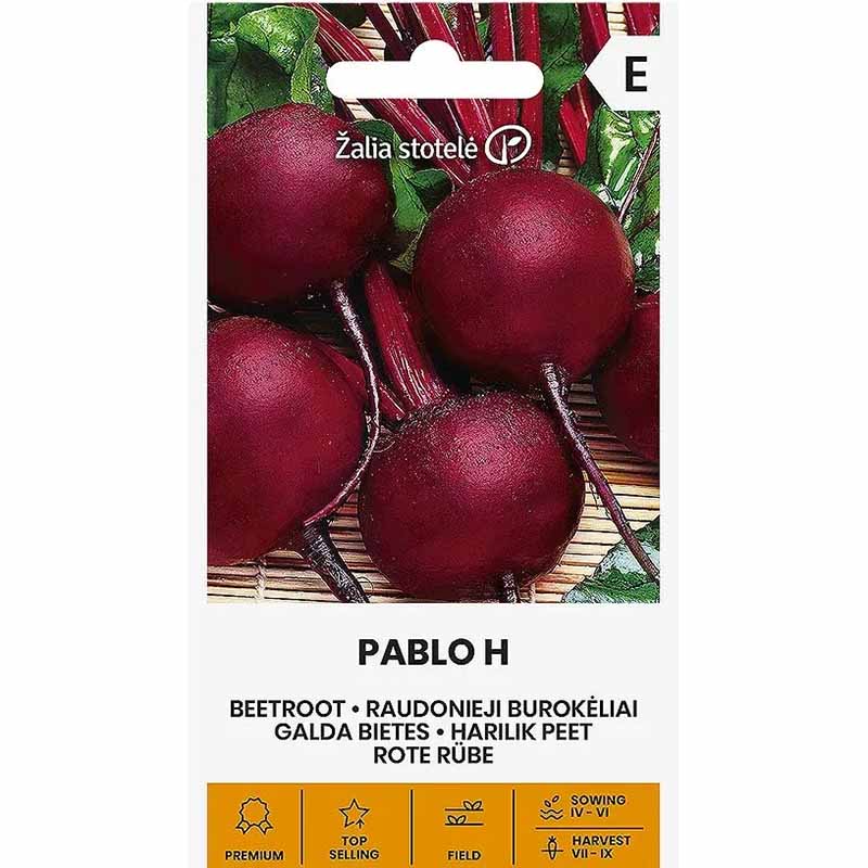 Rødbede 'Pablo' H