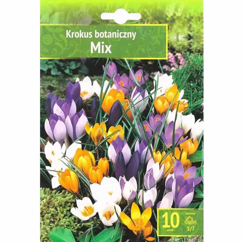 Krokus mix