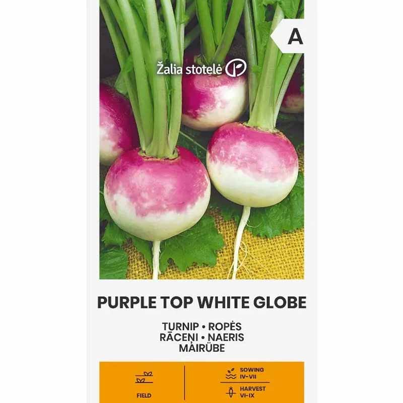 Majroe 'Purple Top White Globe'