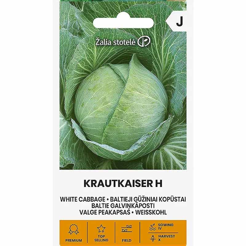 Hvidkål 'Krautkaiser' H