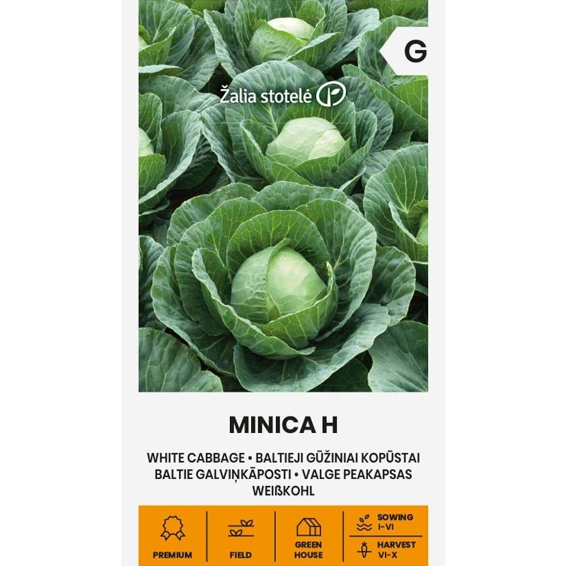 Hvidkål 'Minica' H