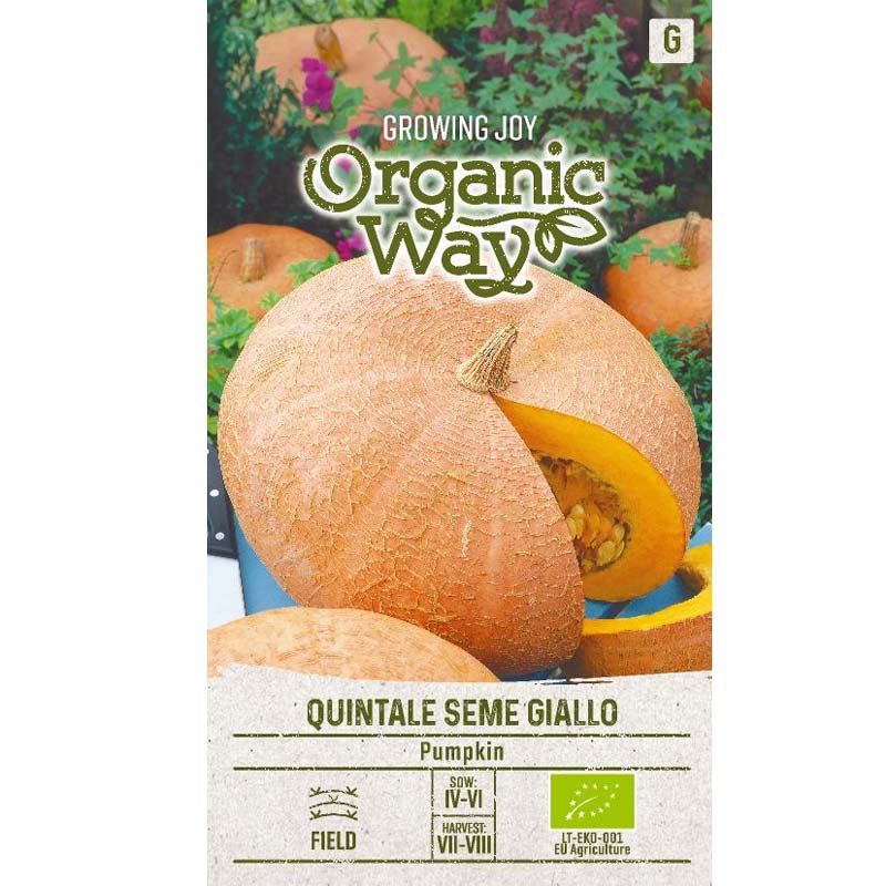 Græskar 'Quintale seme giallo'