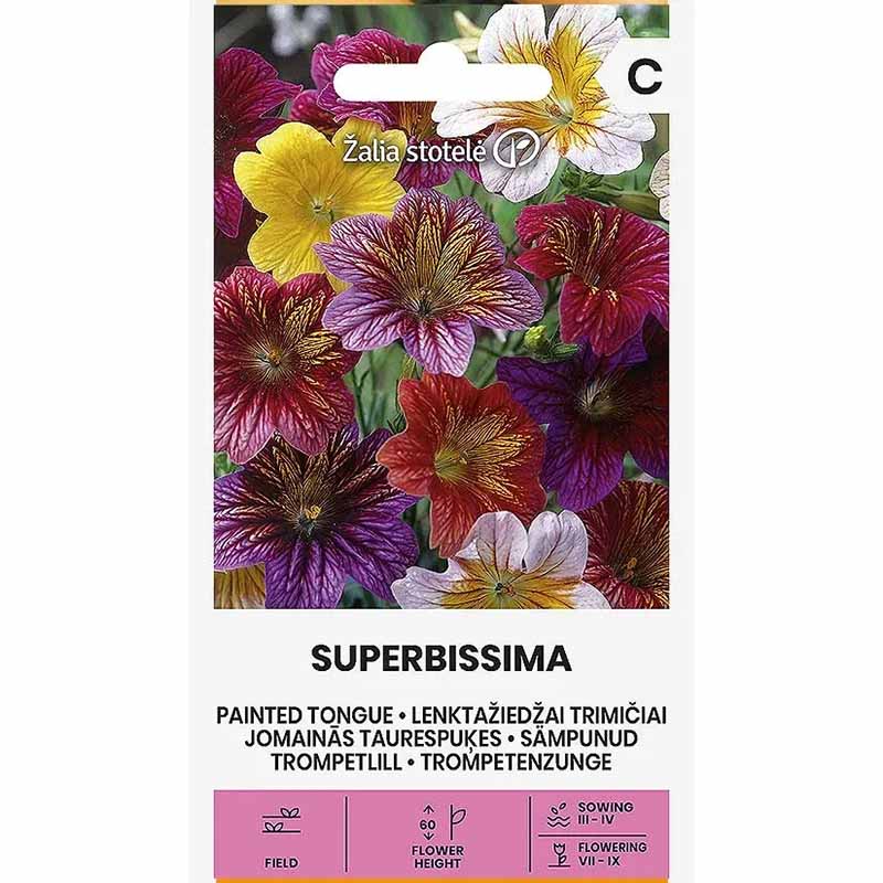 Trompetblomst 'Superbissima'
