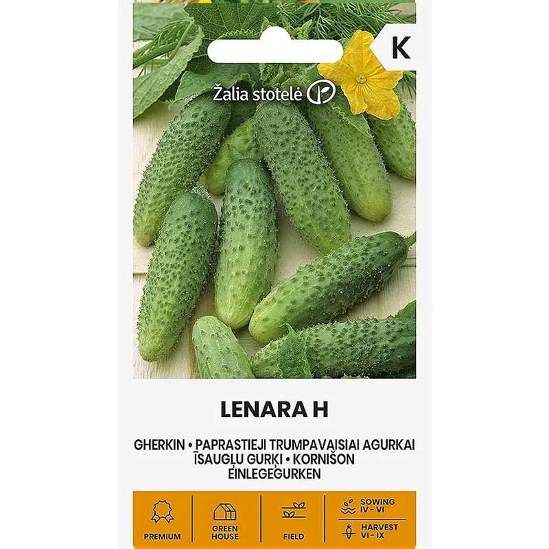 Frilandagurk 'Lenara' F1