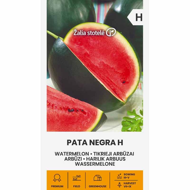 Vandmelon 'Pata Negra'