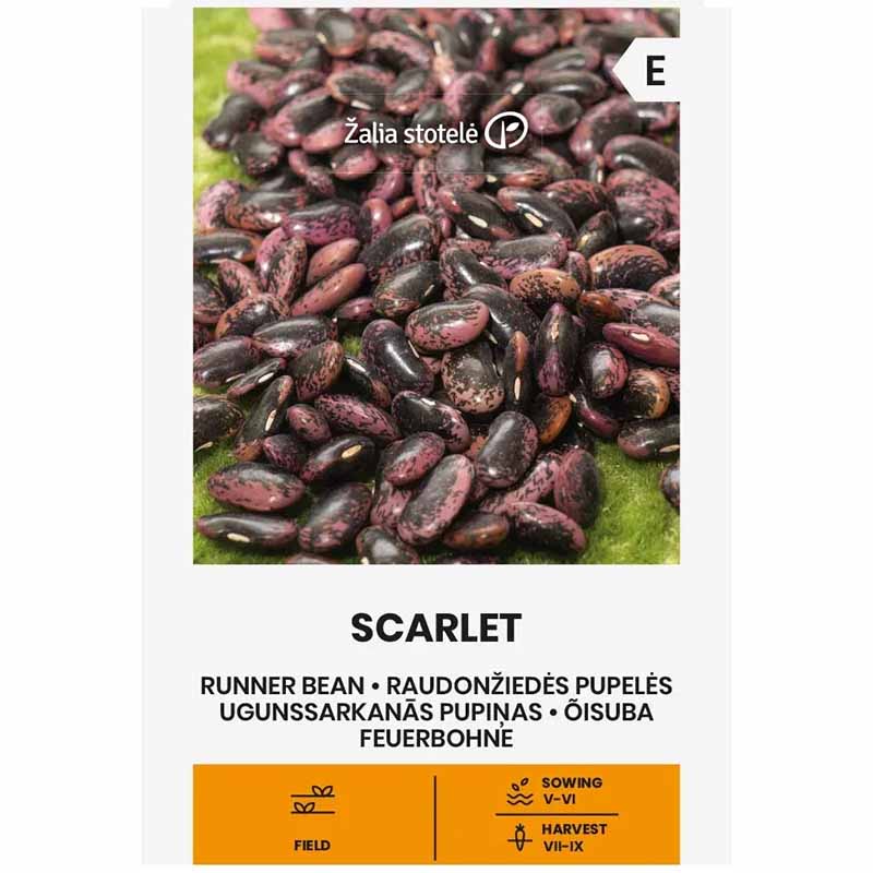 Snerrebønne 'Scarlet'