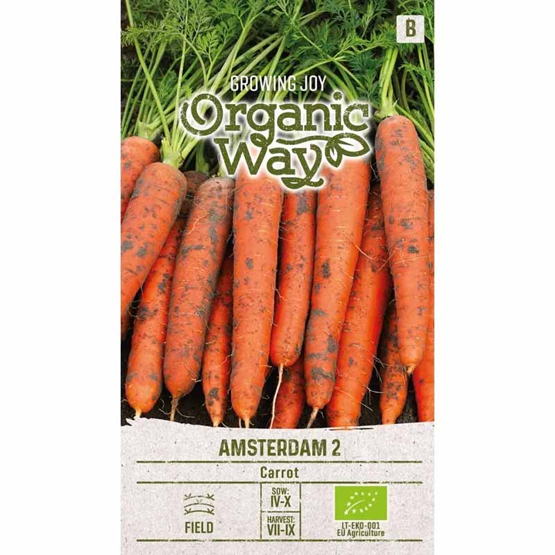 Carrot 'Amsterdam 2'