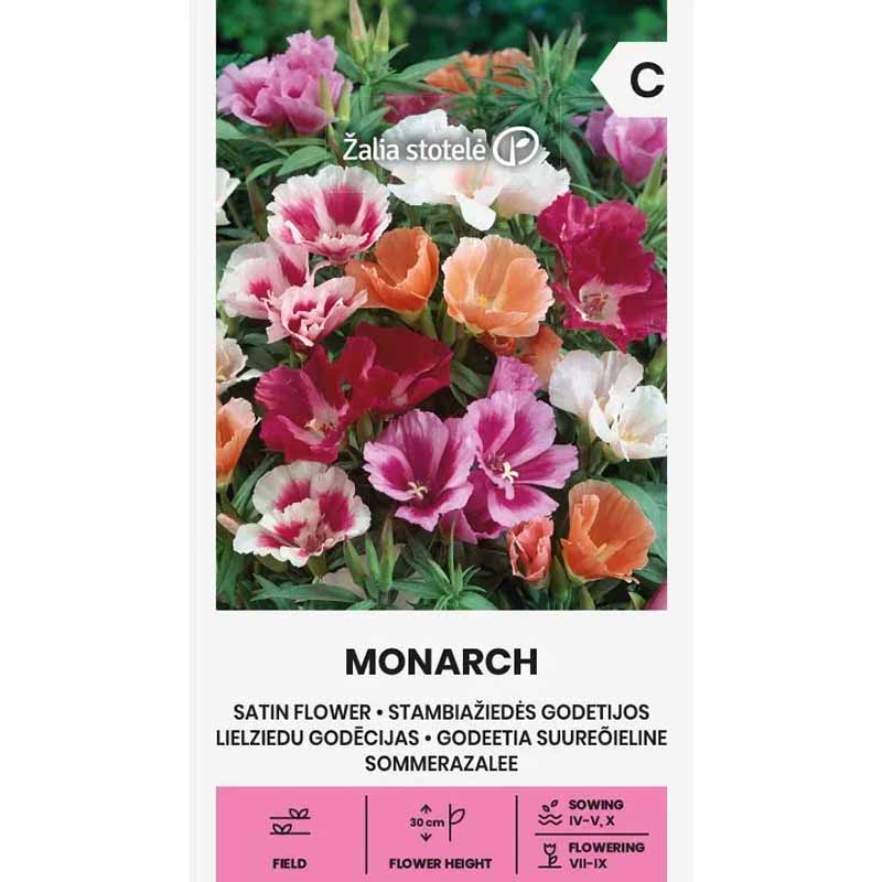 Atlasblomst 'Monarch'