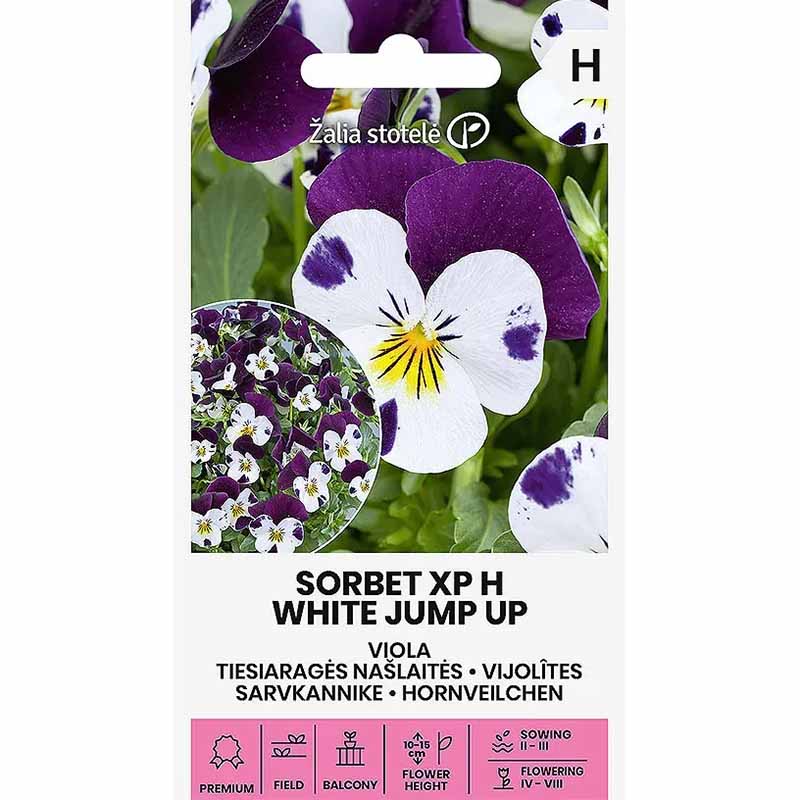 Stedmoderblomst 'Sorbet XP White Jump Up'