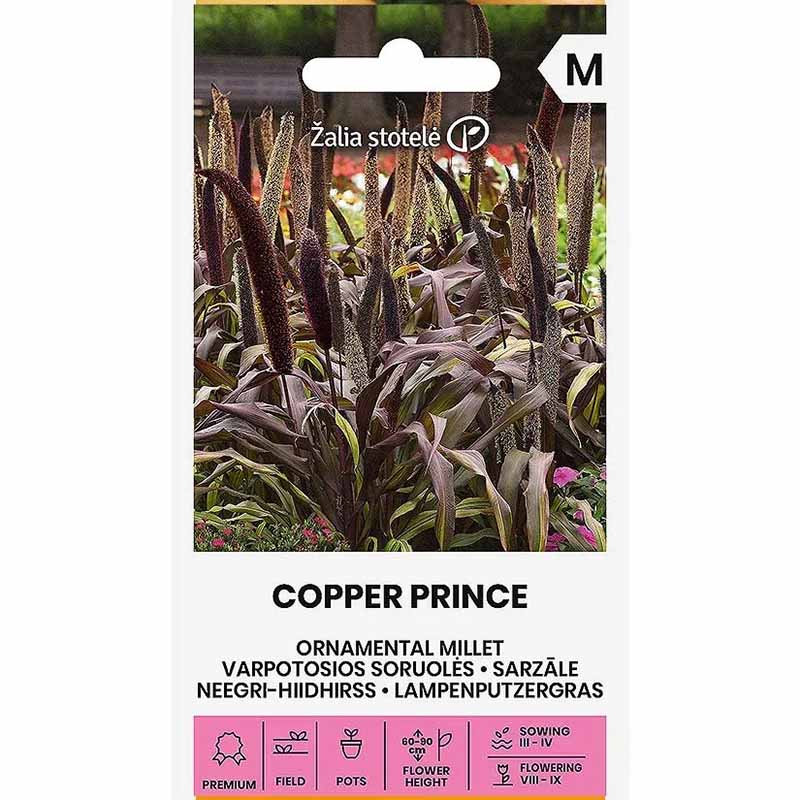 Perlemillet 'Copper Prince' h