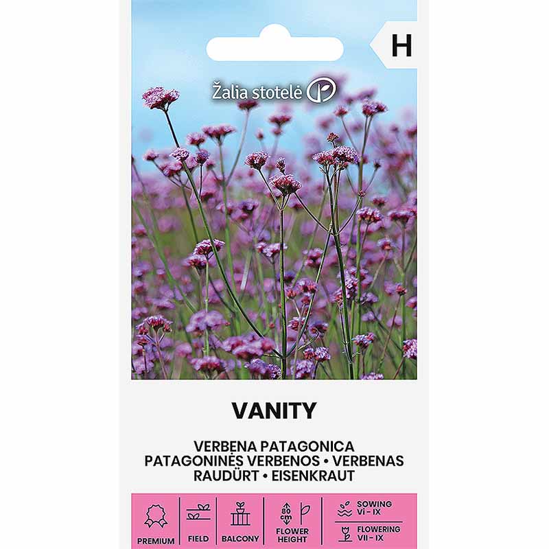 Kæmpeverbena 'Vanity'