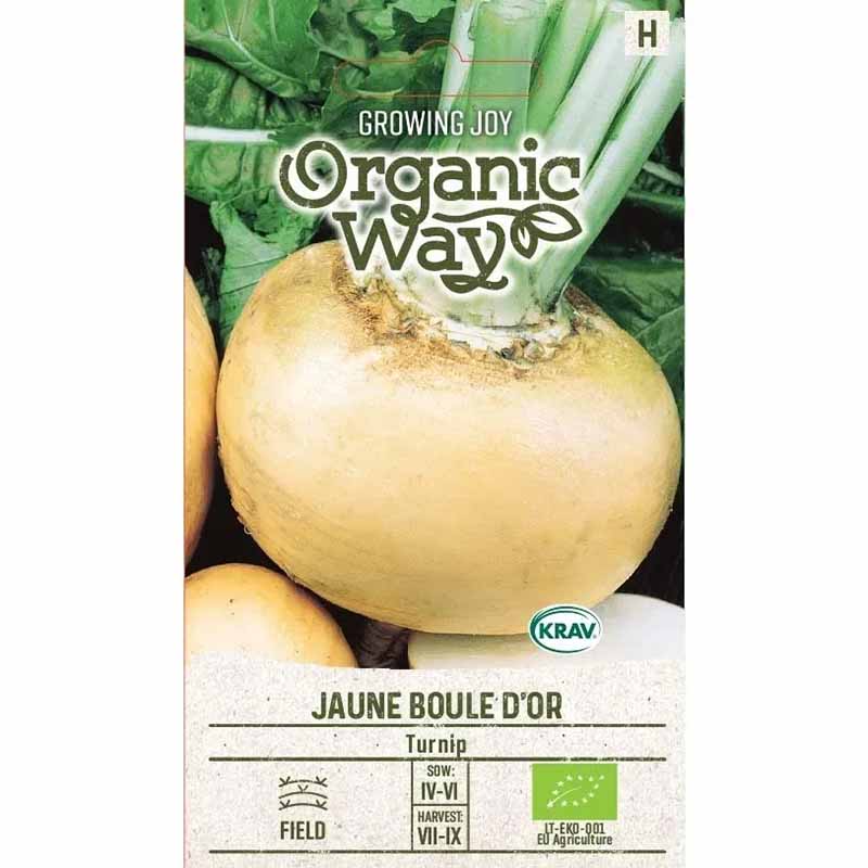 Majroe 'Jaune Boule D'or'