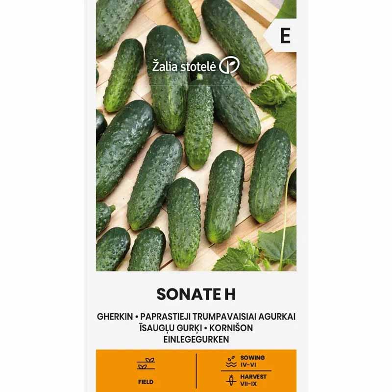 Agurk 'Sonate' F1