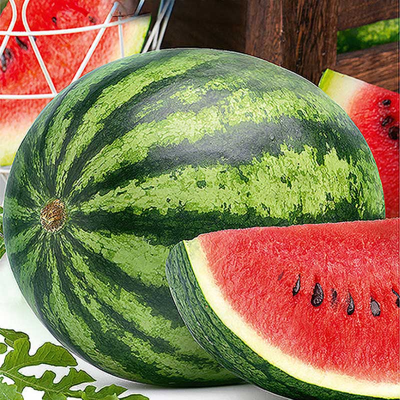 Vandmelon 'Megacrimson' F1