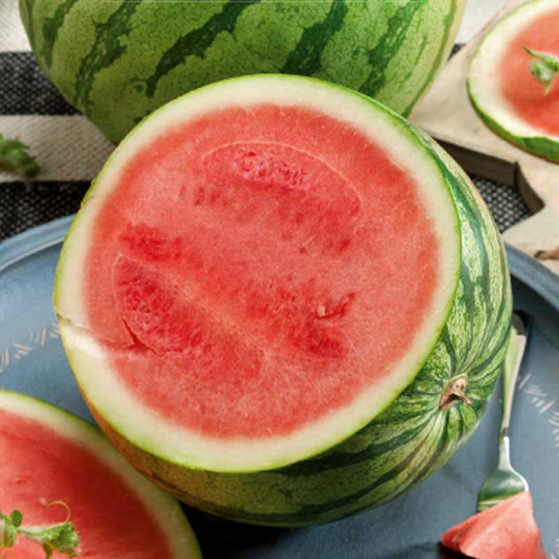 Vandmelon 'Sinrubita' F1