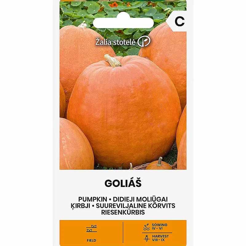 Kæmpegræskar 'Golias'