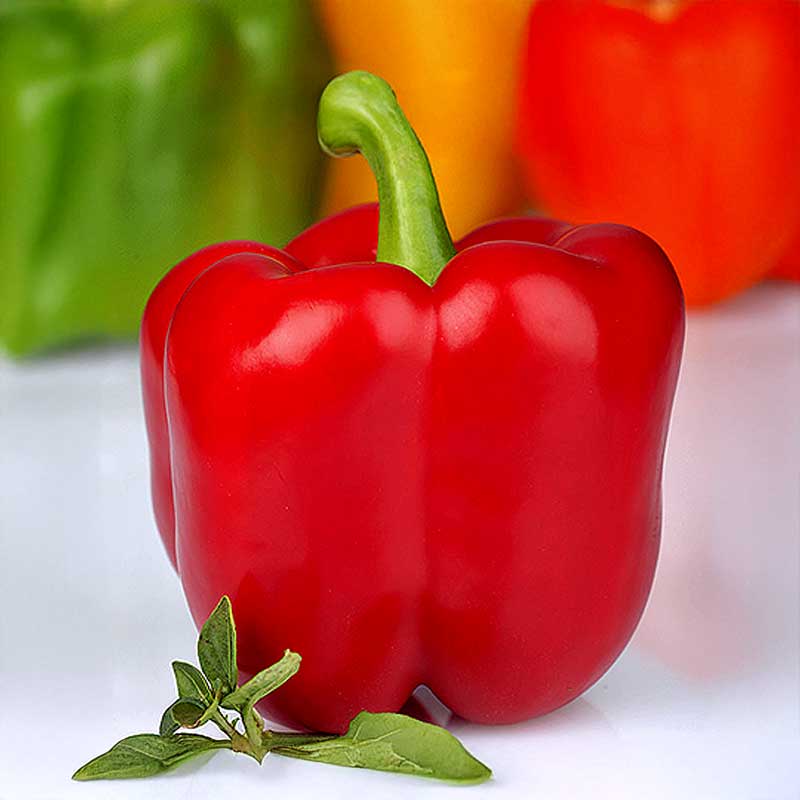 Peberfrugt 'Red King' F1