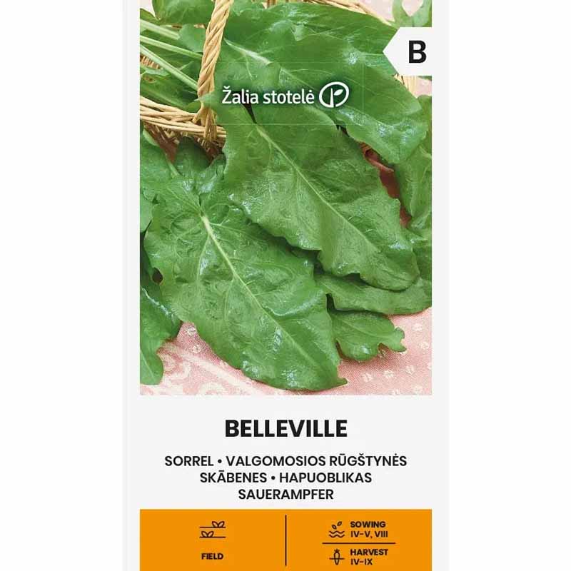 Engsyre 'Belleville'