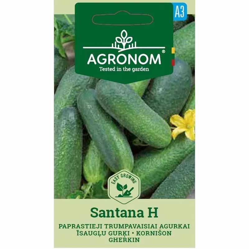 Frilandagurk 'Santana' F1