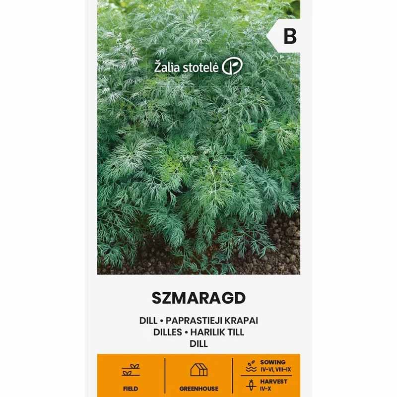 Dild 'Smaragd'