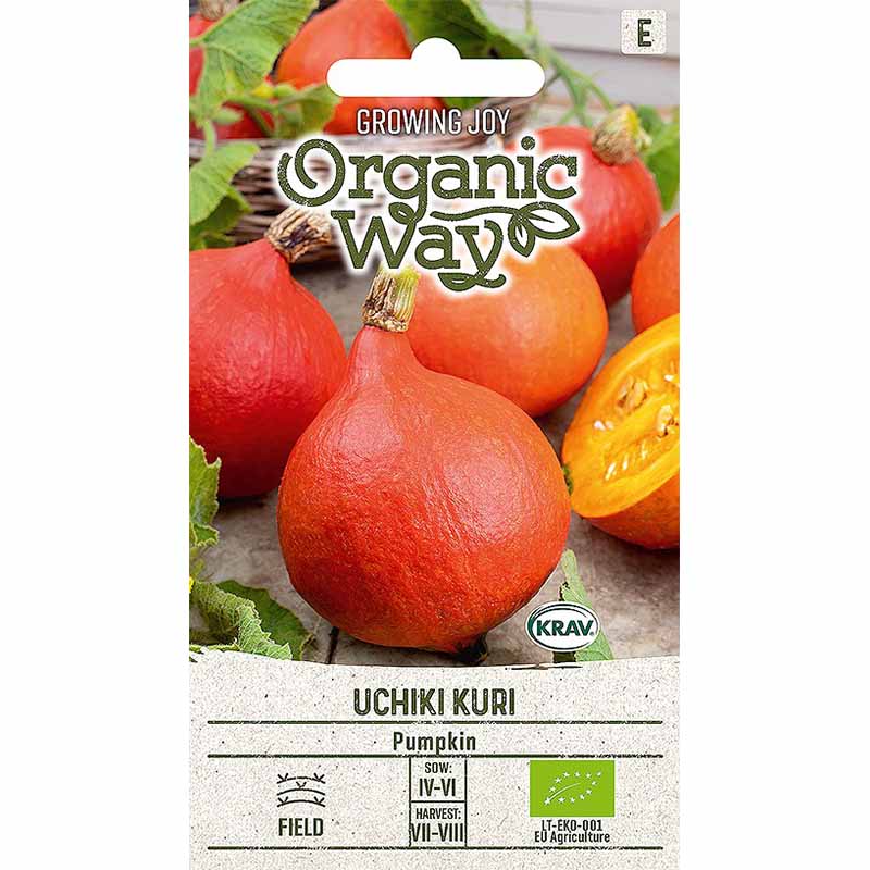 Græskar 'Uchhiki Kuri'