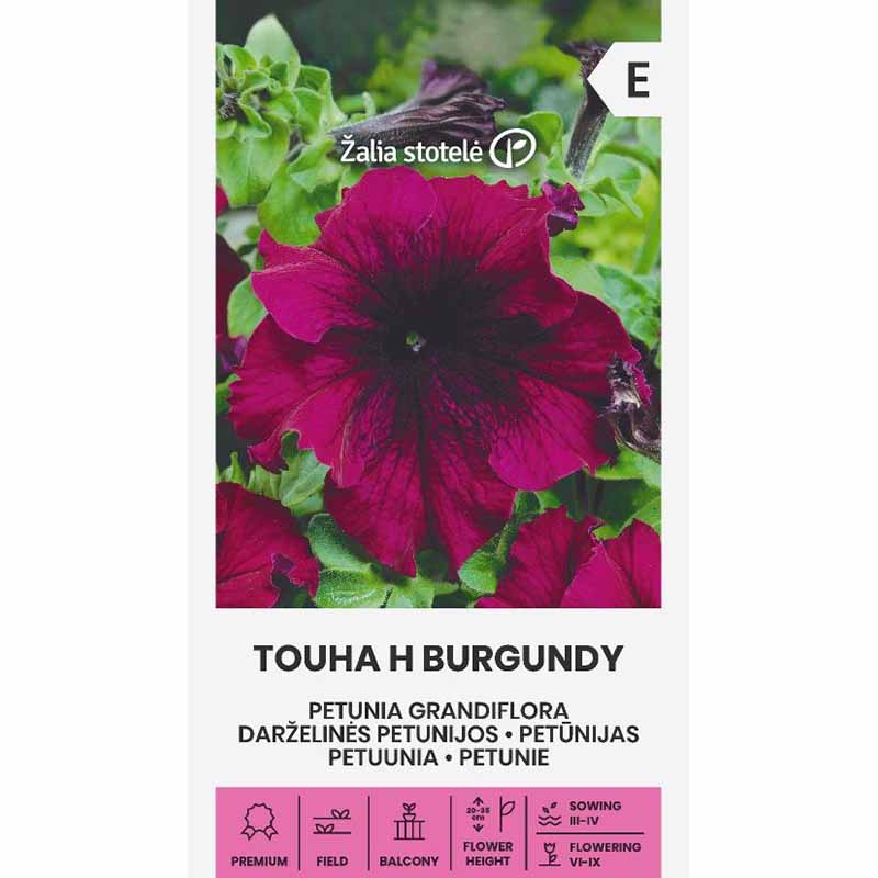 Duftpetunia 'Touha h burgundy'