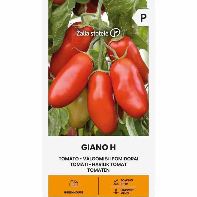 Tomat 'Giano' H