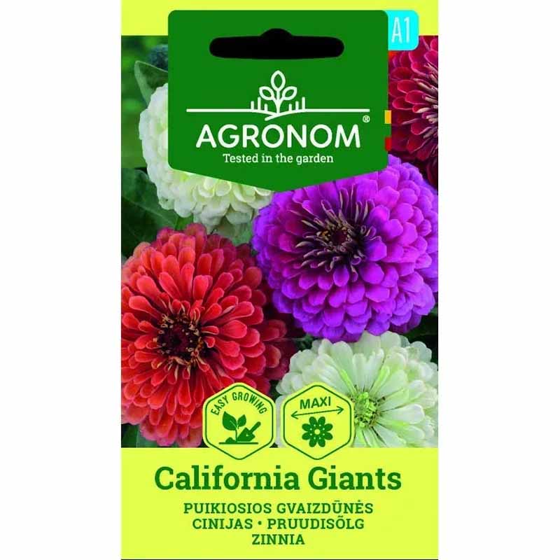 Zinnia 'California giants'