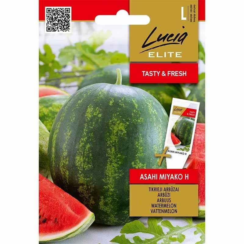 Vandmelon 'Asahi Miyako' F1