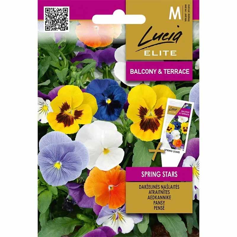 Stedmoderblomst 'Spring Stars'