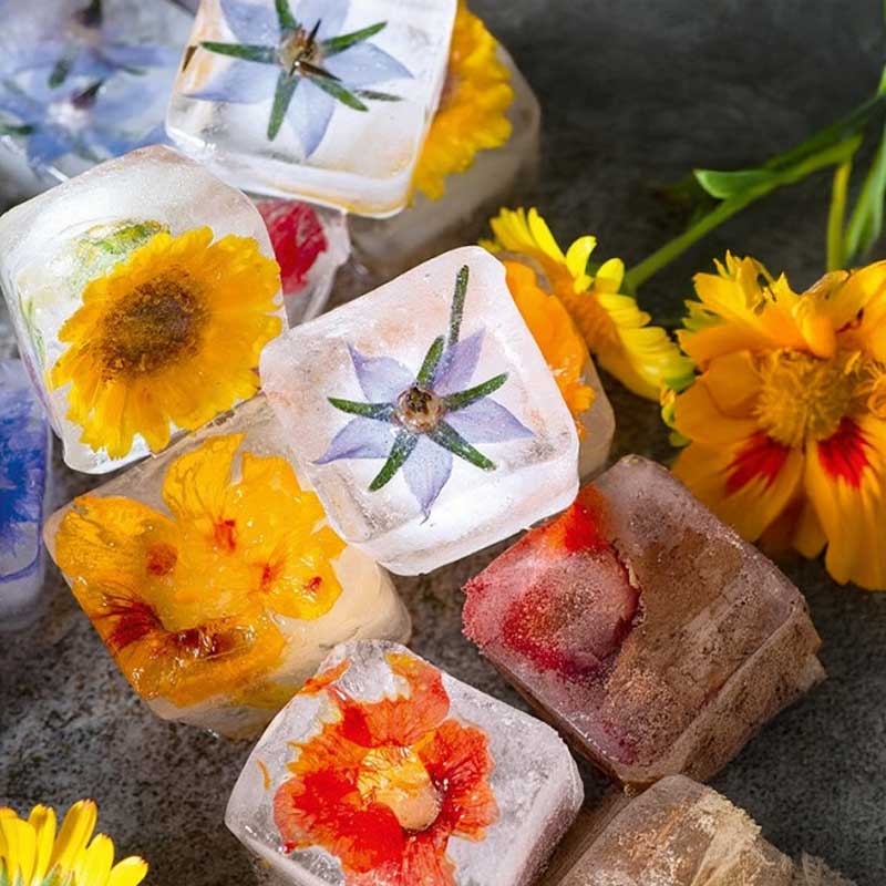 Blomsterblanding 'Ice Cube'