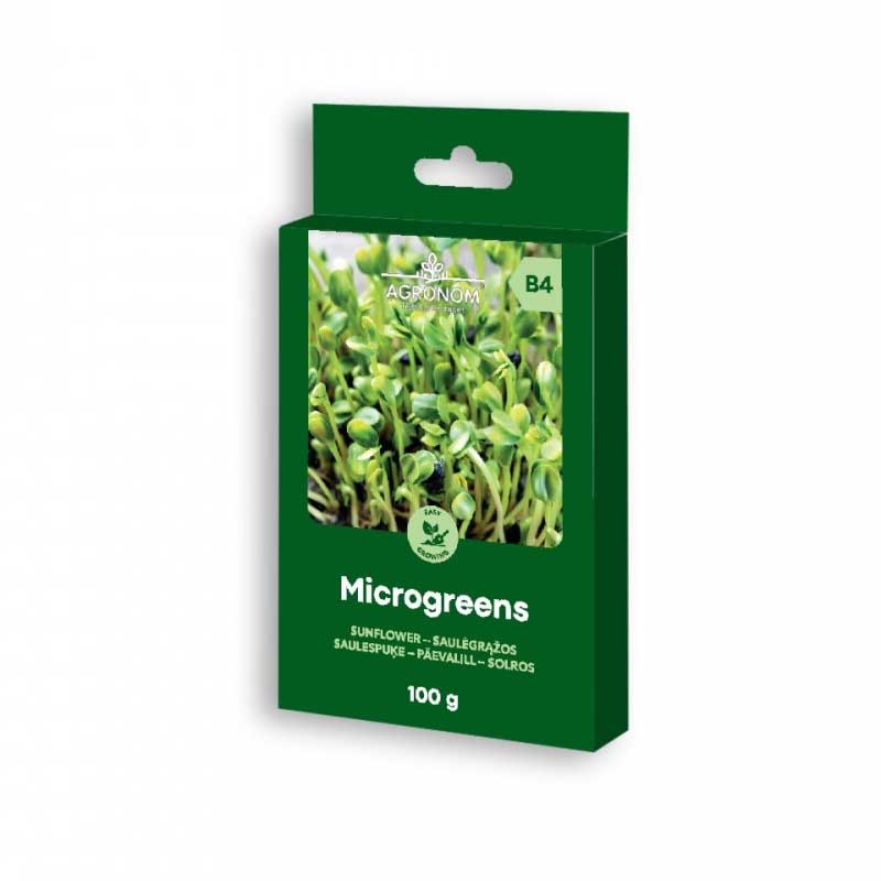 Mikrogrønt solsikke