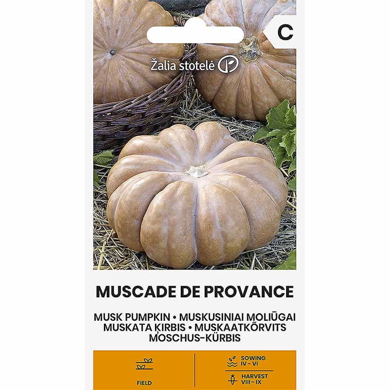 Moskusgræskar 'Muscade de Provence'