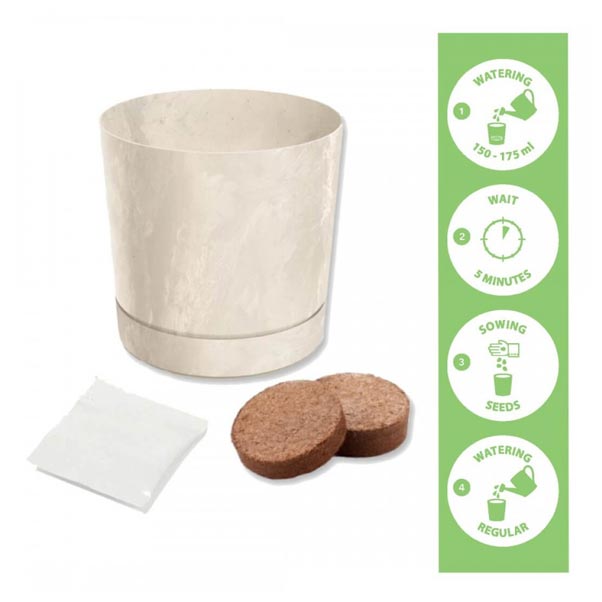 Dyrkningssæt Basilikum 'Italiano Classico'