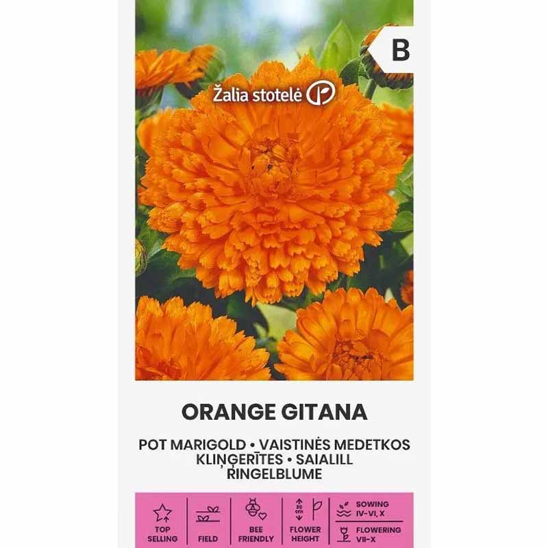 Calendula 'Orange gitana'
