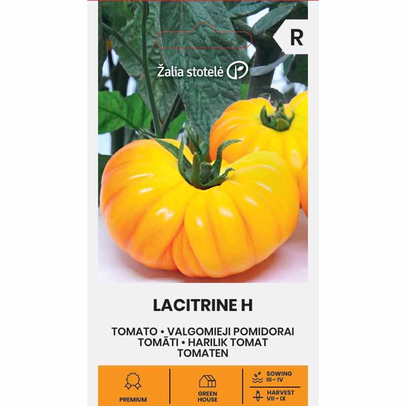 Tomat 'Lacitrine' H
