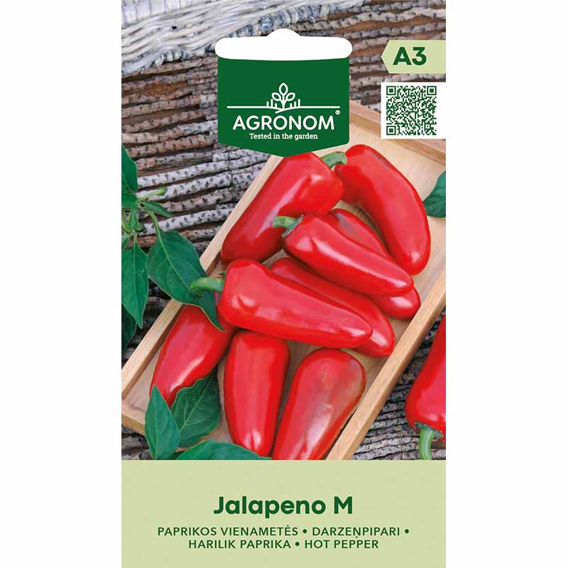 Chilipeber 'Jalapeno M'