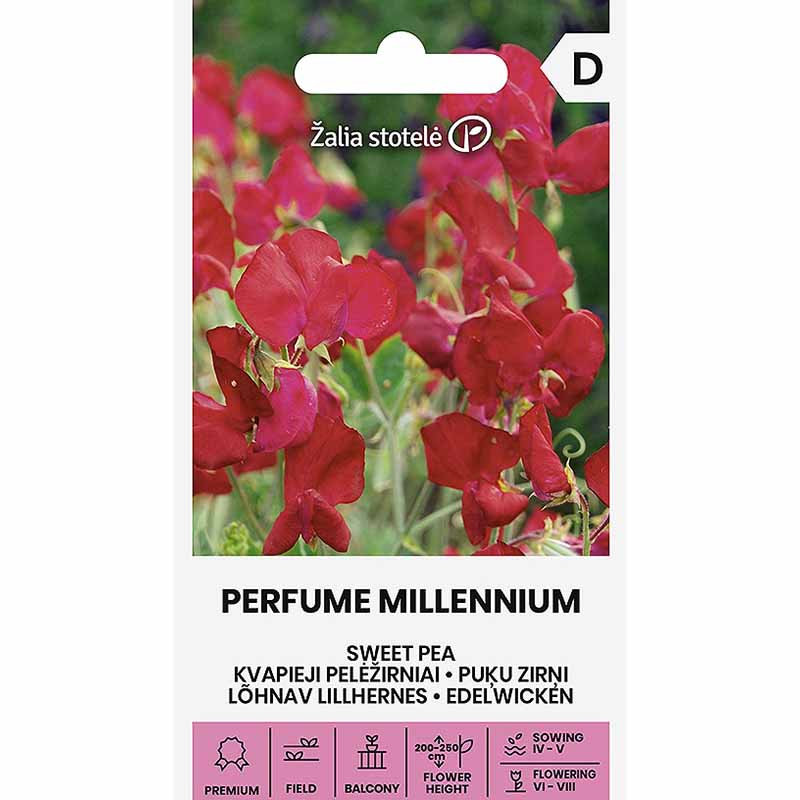 Ærteblomst 'Perfume Millennium'