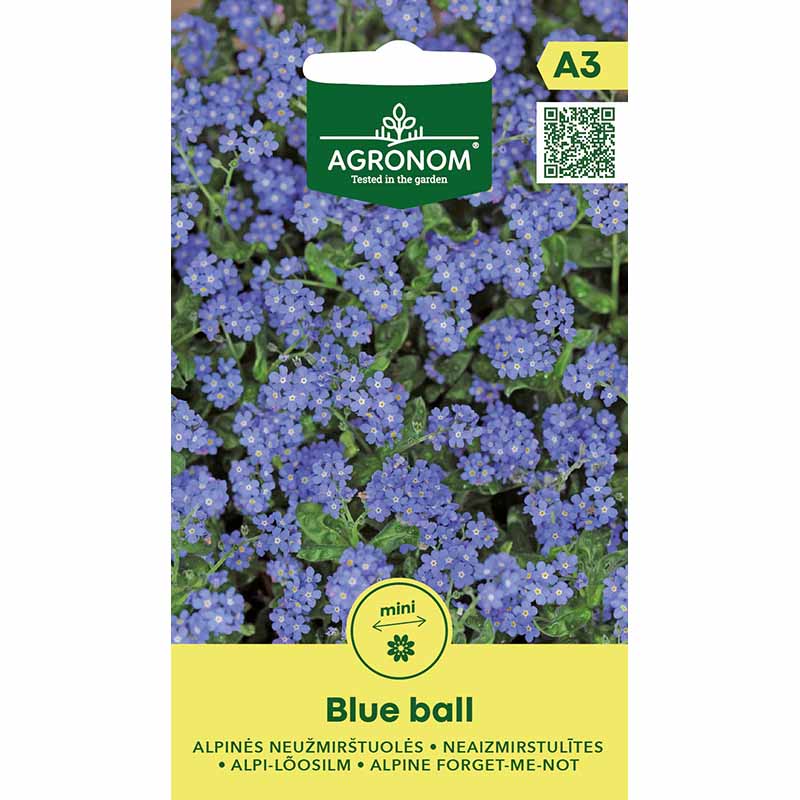 Alpin Forglemmigej 'Blue Ball'