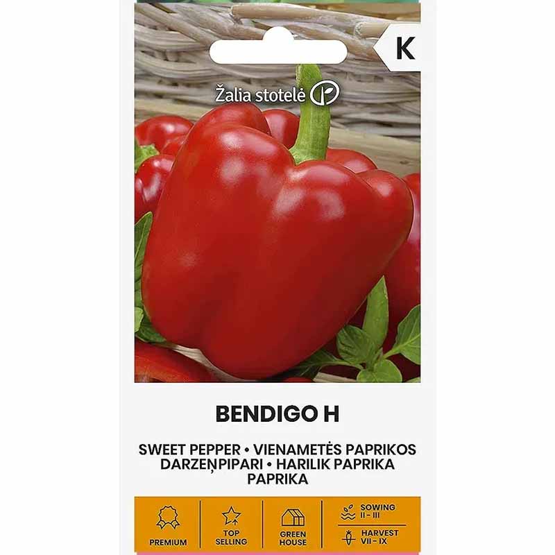 Peberfrugt 'Bendigo' F1