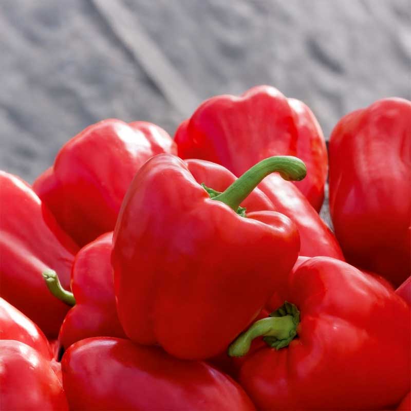 Peberfrugt 'Granova'