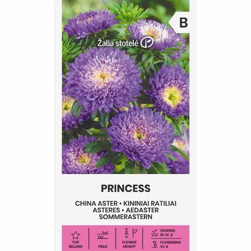 Sommerasters 'Princess' lilla