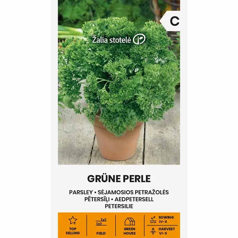 Persille 'Grüne perle'