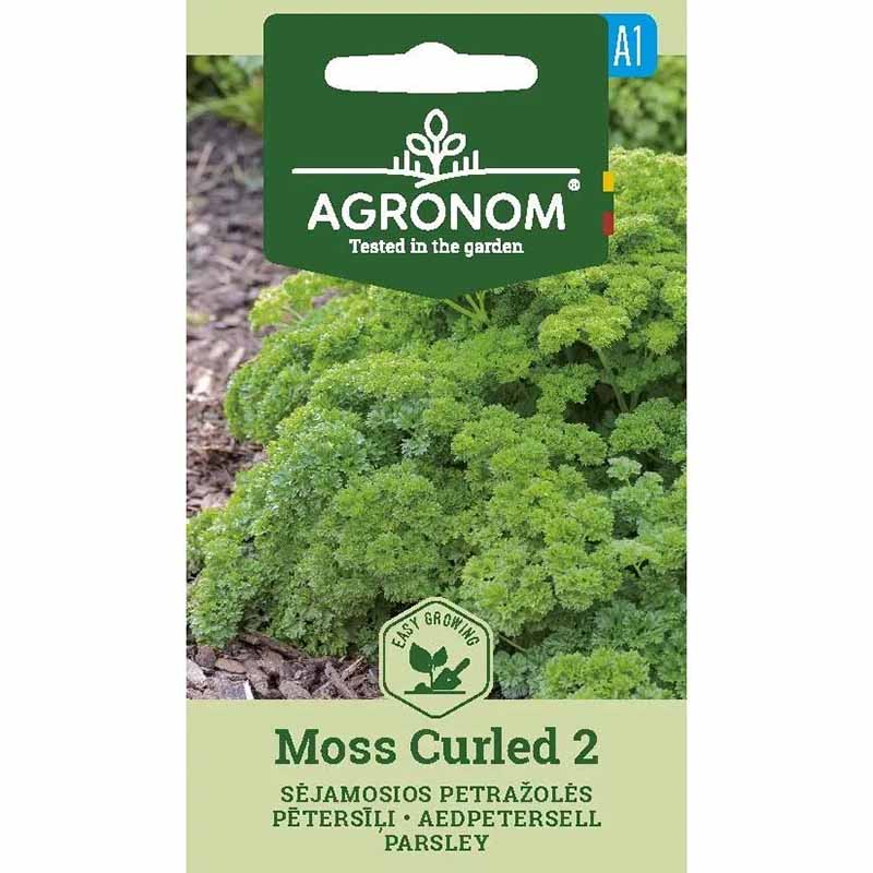 Persille 'Moss curled 2'