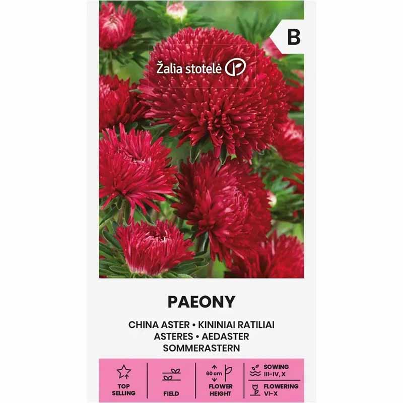 Sommerasters 'Paeony' Rød