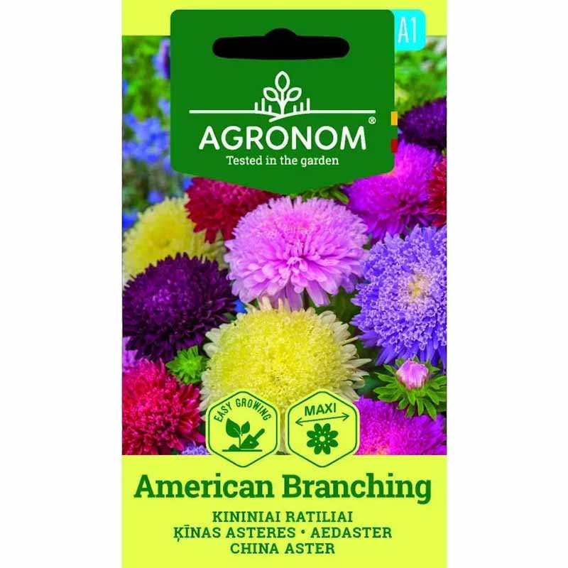 Sommerasters 'American Branching'