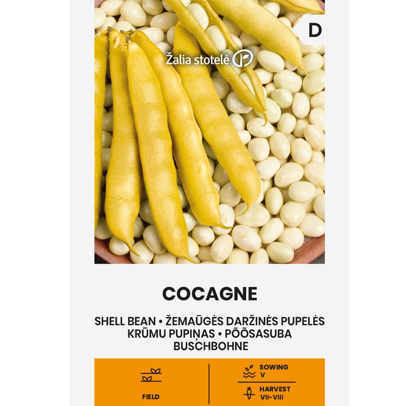 Skrællebønne 'Cocagne'