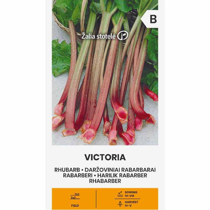 Rhubarb 'Victoria'