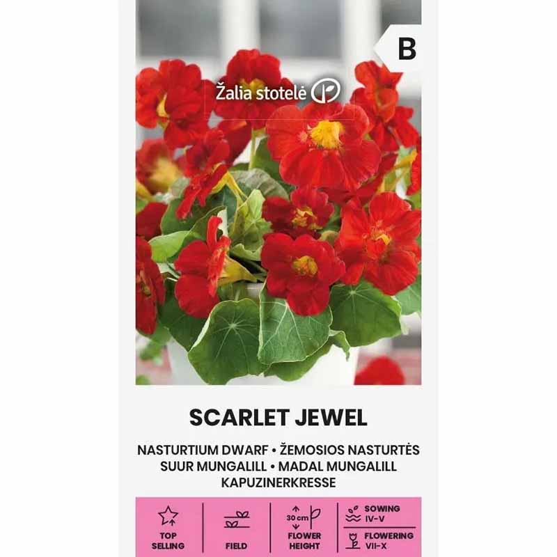 Dværgnasturtium 'Scarlet Jewel'
